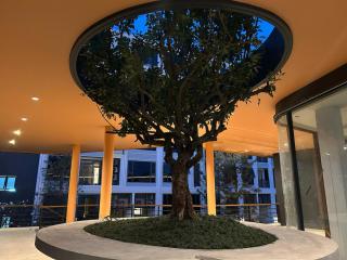 Bellevue Lagoon Phuket - 9