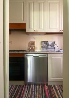 The olive tree vacation home in Colico - 2