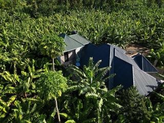 Jangwani Riverview Suits - 3