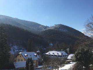 2P 50 m2 - Spacieux, Équipé, Moderne, A la montagne - 2