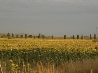 Villetta di Campagna - Venturina Terme - 0
