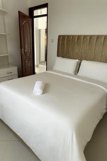 Modern Cozy One-Bedroom Apartment in Kisumu - 1