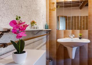 Tuscan Farmhouse sits between Lucca and Pisa hills - Lucques - 5