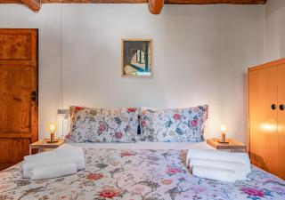 Tuscan Farmhouse sits between Lucca and Pisa hills - Lucca - 1