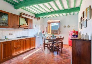 Tuscan Farmhouse sits between Lucca and Pisa hills - 7