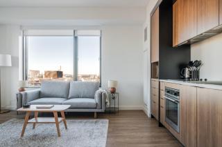 Blueground East Cambridge view nr Charles River BOS-1293 - 9