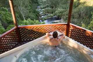 The Fernery Lodge & Spa - Stormsrivier - 1