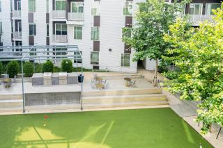 Blueground Brentwood pool nr Zilker Park ATX-317 - 6