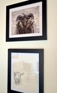 Lodge Cabin with Fabulous Views 2 - Farm Stay - Portpatrick - 5