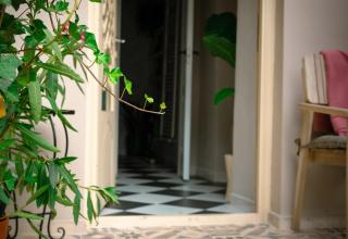 Casa Horea 54 - Cluj-Napoca - 1