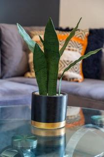 Bright cheery 4 bd apartment by Brighton Station - 1