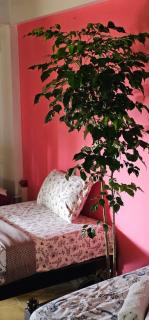 Ayurprana Marari - 7