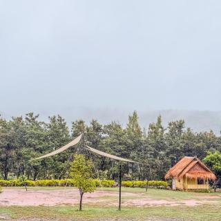 Ozone Valley Camp Khaoyai - 8