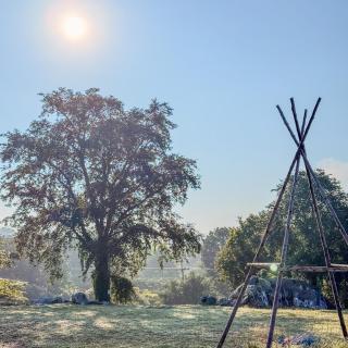 Ozone Valley Camp Khaoyai - 2