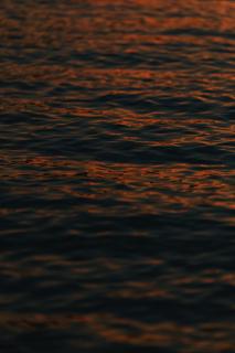 Hotel Fork & Knife Miyajima - Opening in Mar 28th 2026 - 3