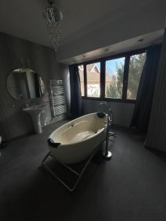 Pension La Noblesse - Bucharest - 3