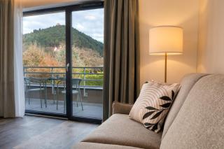 Les Appartements Husseren Collections - Proche Colmar - Eguisheim - 7