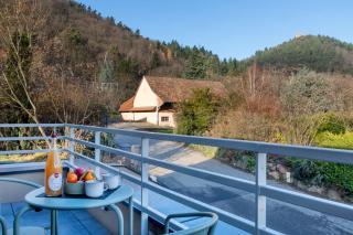 Les Appartements Husseren Collections - Proche Colmar - Eguisheim - 8