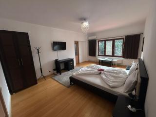 Pension La Noblesse - Bucharest - 4