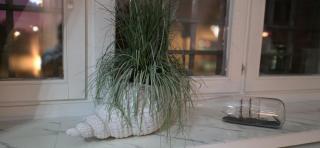 Pension Zur Alten Post - 1