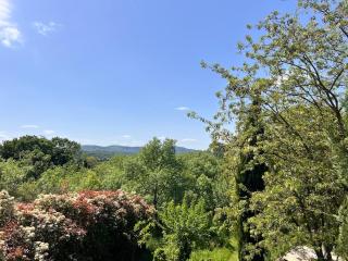 Luxury Studio apartment with large terrace - 6