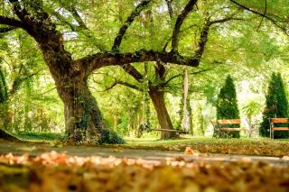 Forster Vadászkastély és Szálloda - 8