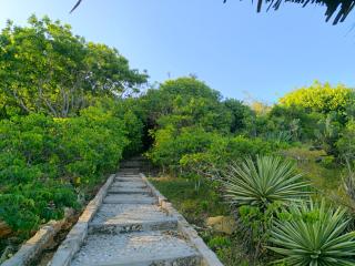 ocean sunrise villa - 3