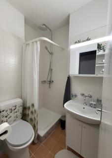 Studio moderne et chaleureux au coeur de Geneve - parfait pour courts sejours - 5