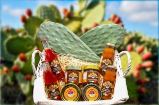 ALMAR HOLIDAY - Crotone - 9