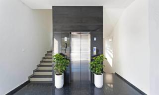 Treebo Global Orchid - 6