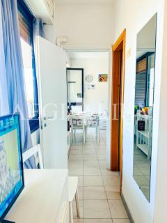 Giglio Rosa 4 n9 - 1