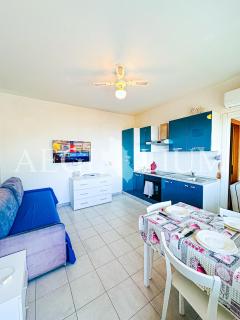 Giglio Rosa 4 n9 - 7