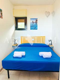 Giglio Rosa 4 n9 - 8