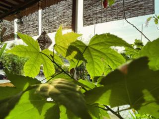 Here Library - A wooden home by the river with a library - 6