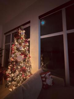 Spa & Comfort - Chalet KG Petit lac Lambton - Lambton - 3