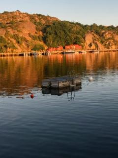 New Timber Holiday Home With Bay Views - 5