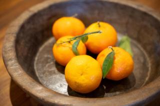 Dartmouth Apartment, Light, Modern and Relaxing - 1