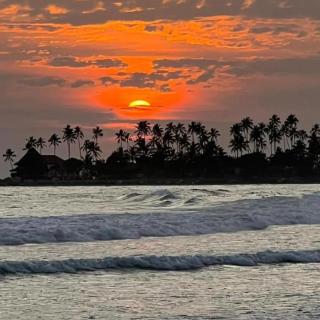 Hiri First In Rest - Dikwella - 5