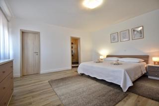 Spacious apartment with private pool - Vodnjan - 1