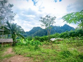 Khaosok Eco House - 3