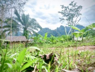 Khaosok Eco House - 4