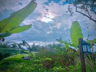 Khaosok Eco House - 7