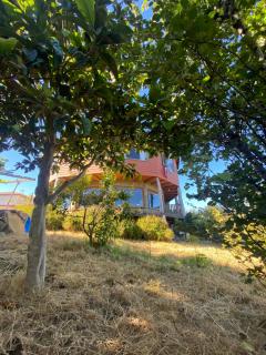 Casacerrolacruz - Pichilemu - 3