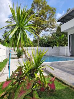 Yangyai Tree Villa - 8