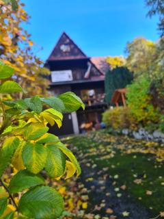 Sępia Chata dom do wynajęcia - 8