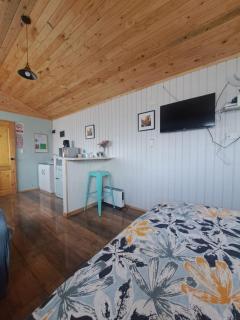 Tiny House Aeropuerto el Tepual - 3