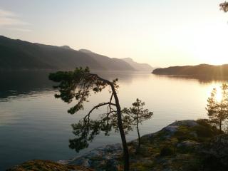 Ropeid Fjordferie Vindafjorden - Ropeid - 3