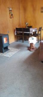 Cabañas Leticia - 1