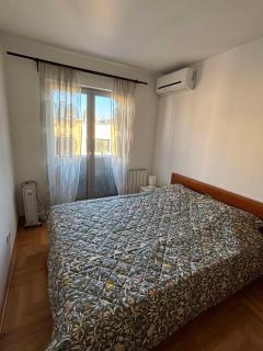 Botanical Garden - 2