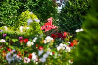 COMPLEX TISMANA 3* ALL INCLUSIVE - 4